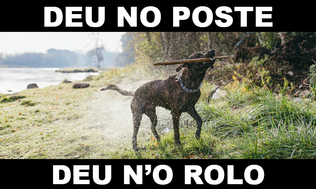 deu no poste - jogo do bicho - resultado do jogo do bicho