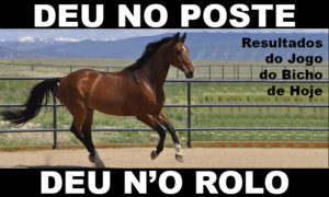 deu no poste - jogo do bicho - resultado do jogo do bicho