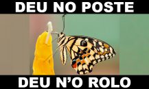 deu no poste - jogo do bicho - resultado do jogo do bicho