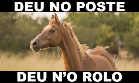 Como jogar no cavalo no jogo do bicho? Tudo o que você precisa