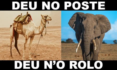 deu no poste - jogo do bicho - resultado do jogo do bicho