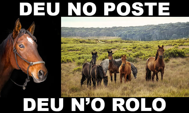 Deu No Poste Hoje