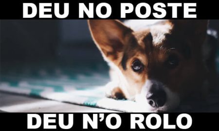 deu no poste - jogo do bicho - resultado do jogo do bicho