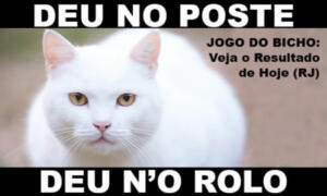 deu no poste - jogo do bicho - resultado do jogo do bicho