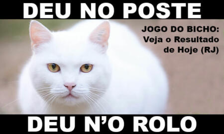 palpite jogo do bicho rj hoje