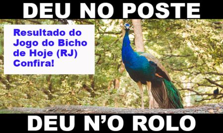 deu no poste - jogo do bicho - resultado do jogo do bicho