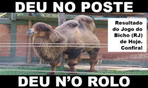 deu no poste - jogo do bicho - resultado do jogo do bicho