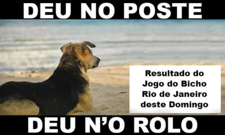 deu no poste - jogo do bicho - resultado do jogo do bicho