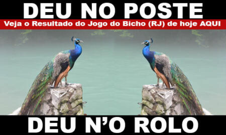 deu no poste - jogo do bicho - resultado do jogo do bicho