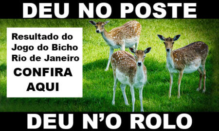 deu no poste - jogo do bicho - resultado do jogo do bicho