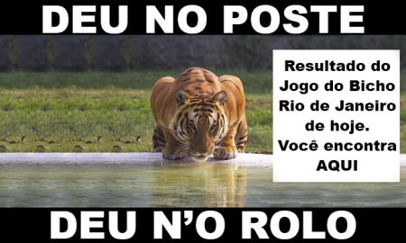 deu no poste - jogo do bicho - resultado do jogo do bicho