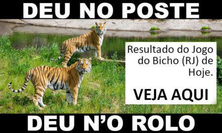 → Resultado do jogo do bicho deu no poste