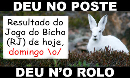 → Resultado do jogo do bicho deu no poste