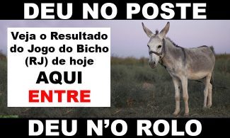 Blog Luciano noticias - Resultado jogo do bicho desta terça-feira