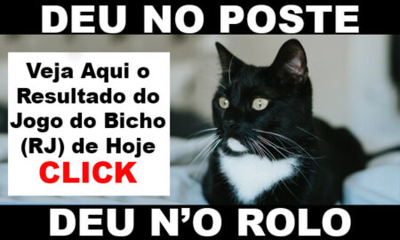 JOGO DO BICHO O GATO PRETO