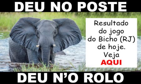 deu no poste - jogo do bicho - resultado do jogo do bicho