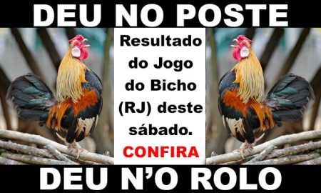 deu no poste - jogo do bicho - resultado do jogo do bicho