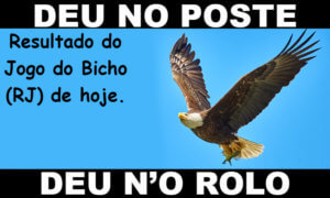 deu no poste - jogo do bicho - resultado do jogo do bicho