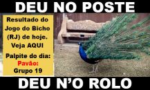 DEU NO POSTE: resultados do Jogo do Bicho hoje; quinta-feira 28/09/23 –  PIRANOT