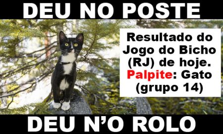 DEU NO POSTE - Resultado do Jogo do Bicho (RJ) 14/12/2019