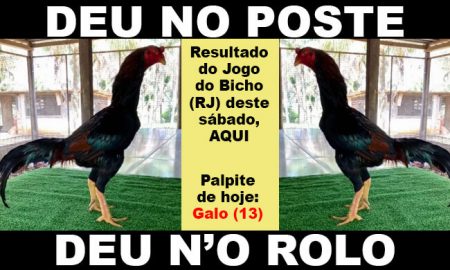 palpite jogo do bicho rj hoje