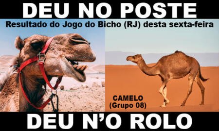 Bicho Certo - Deu no Poste  Resultado do Jogo do Bicho de Hoje