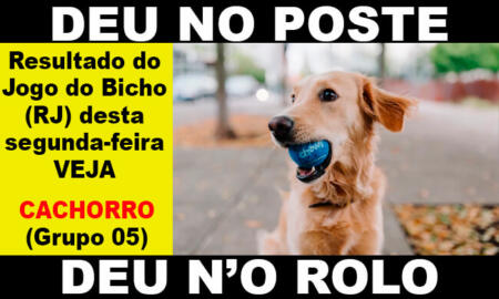 Palpite dia 11/10/2023 - JOGO DO BICHO TODAS AS LOTERIAS 
