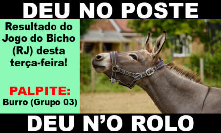 deu no poste - jogo do bicho - resultado do jogo do bicho