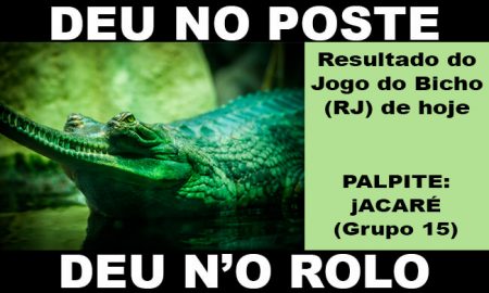 Resultado do jogo do bicho ao vivo - PTM RIO 11HS dia 11/11/2023 - Sábado 