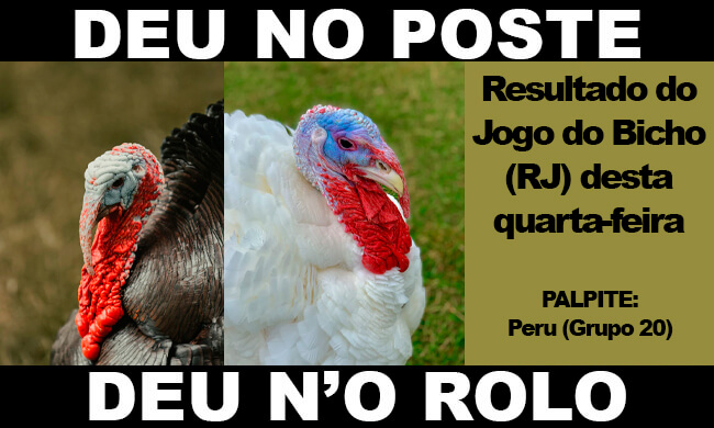 deu no poste - jogo do bicho - resultado do jogo do bicho