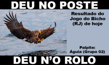 → Resultado do jogo do bicho deu no poste