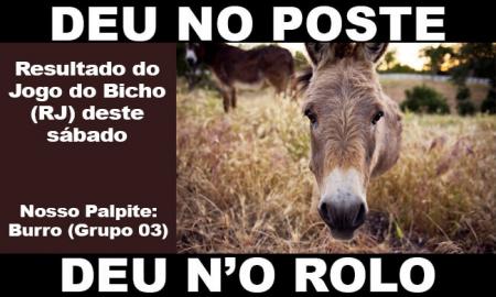 Www Ojogodobicho Com Net - Deu No Poste - Jogo do Bicho