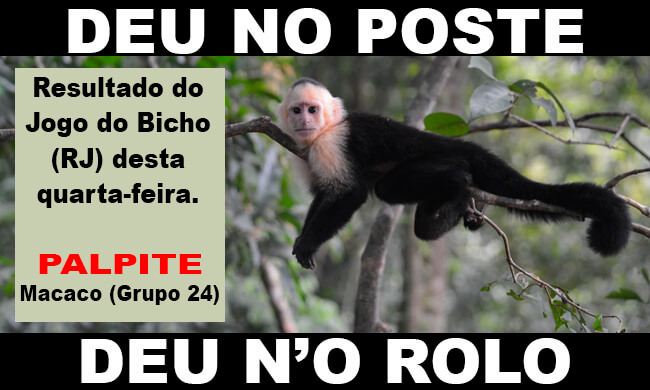 Resultado Deu no Poste 21 horas - Giga Bicho