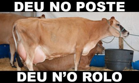 Jogo do Bicho - Vaca