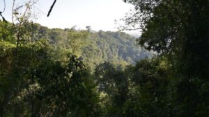 Turismo lança Programa "Botucatu Cidade Observadora de Aves" nesta quarta, 23