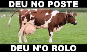 deu no poste - jogo do bicho - resultado do jogo do bicho