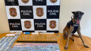 Cão farejador localiza drogas e fecha boca de fumo em Piracicaba