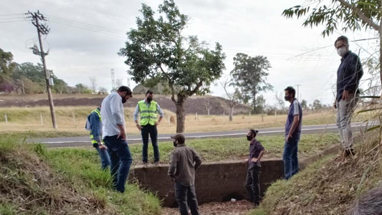 Túnel ajudará a proteger tamanduás contra atropelamentos em Botucatu