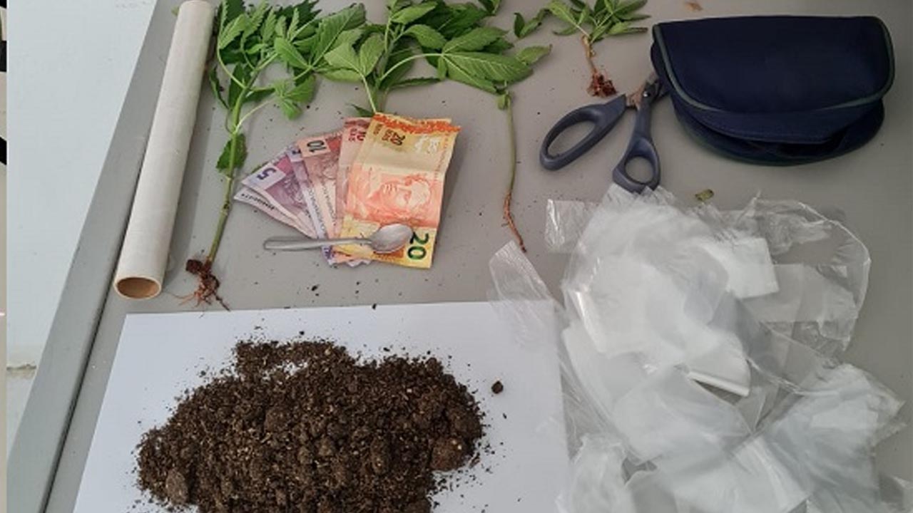 Polícia prende jovem com plantação de maconha em São Manuel