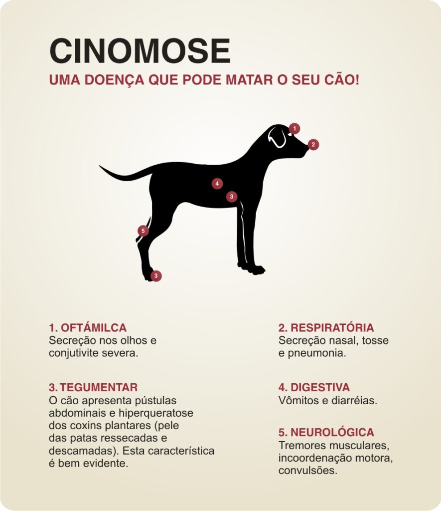 CINOMOSE Sintomas