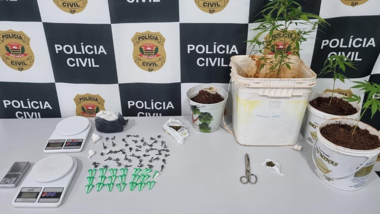 Polícia apreende pés de maconha e drogas prontas para a venda em residencial de Jaú