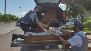 Polícia apreende caixão carregado de maconha em Assis