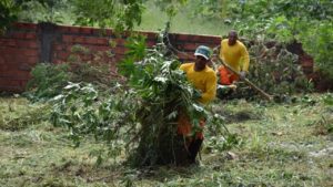 Prefeitura decreta prazo para limpeza de terrenos em Botucatu e vai aplicar multas