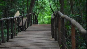 Reabertura do Parque Natural Municipal Cachoeira da Marta será nesta quinta-feira, 16