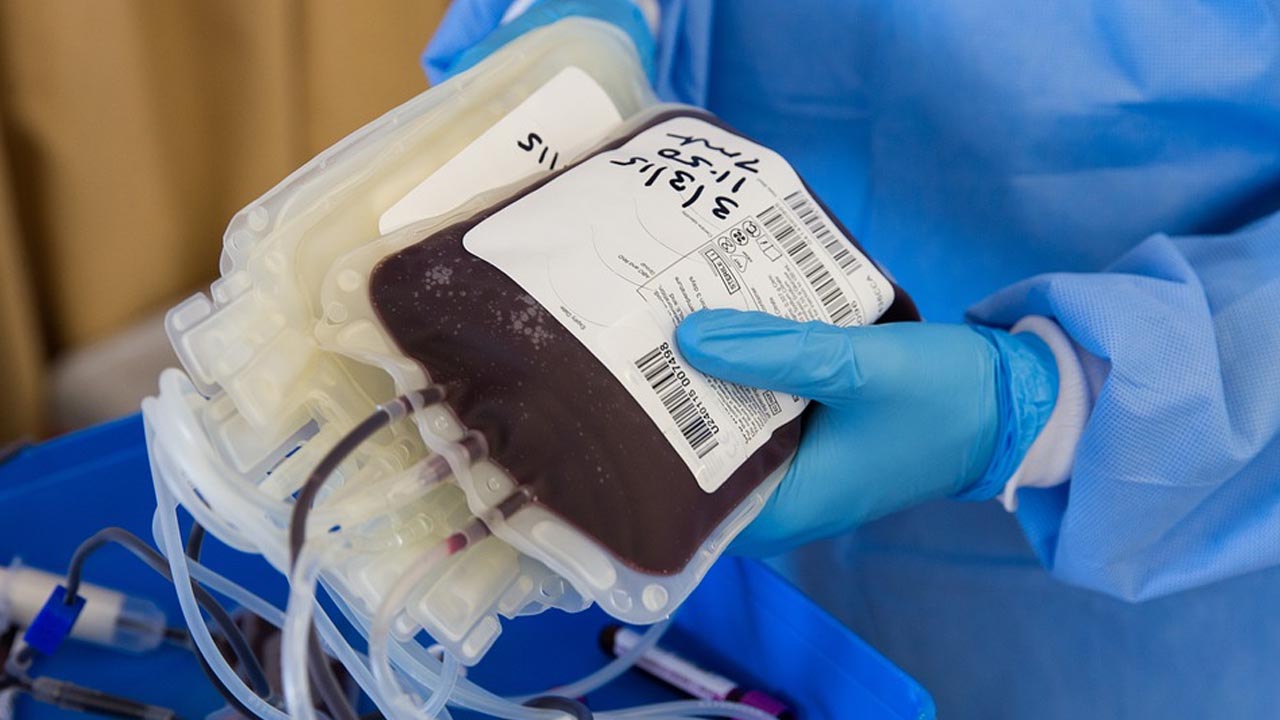 Hemocentro de Botucatu precisa de doações de sangue
