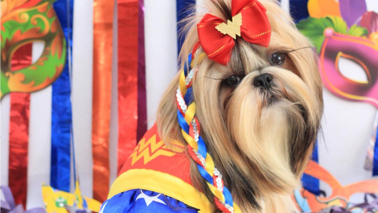 Carnaval: Shopping Park Botucatu promoverá Folia Pet