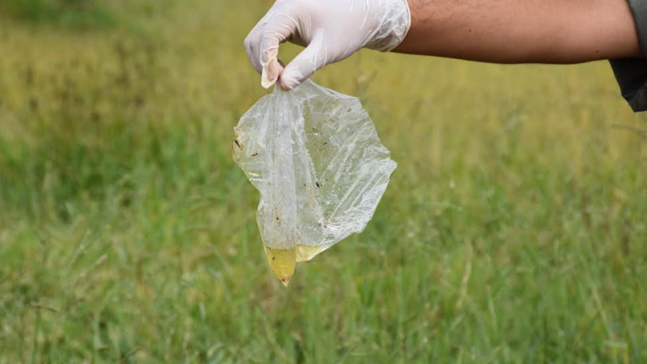 Com aumento das chuvas, população deve se prevenir contra o Aedes Aegypti