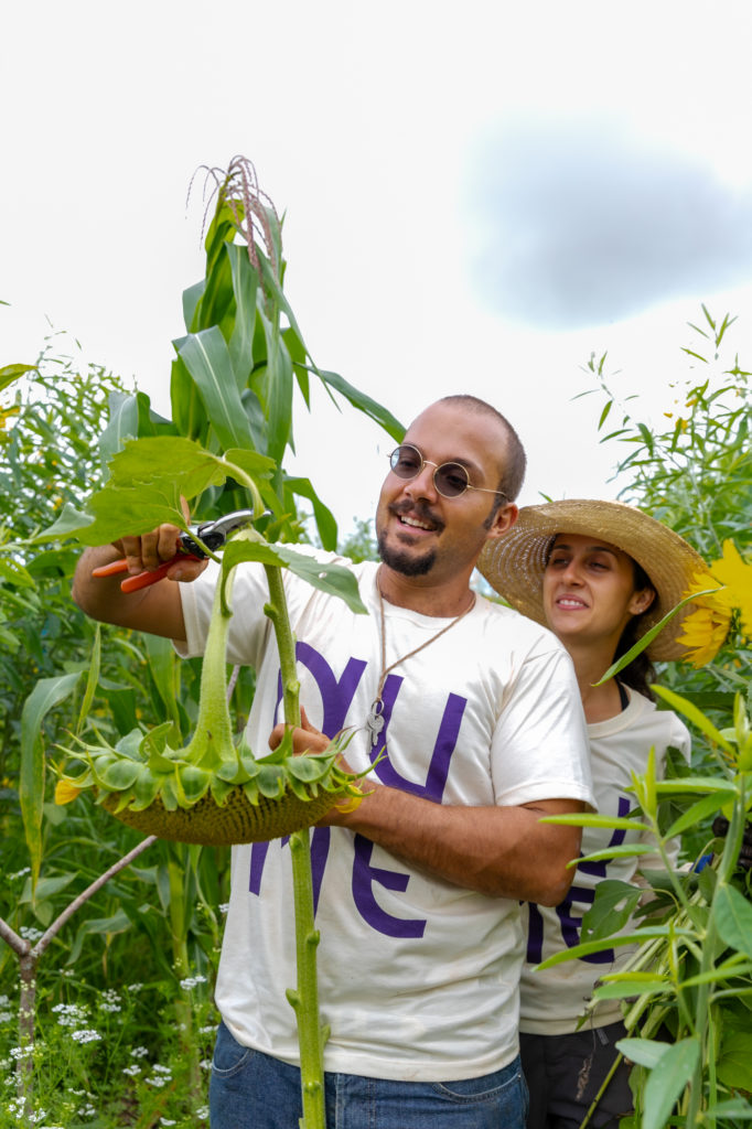 AGROFLORESTA GUILHERME LENISE