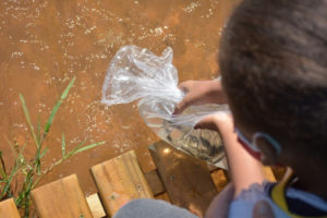 Alunos da Rede Municipal comemoraram o Dia Mundial da Água com soltura de peixes no Lavapés