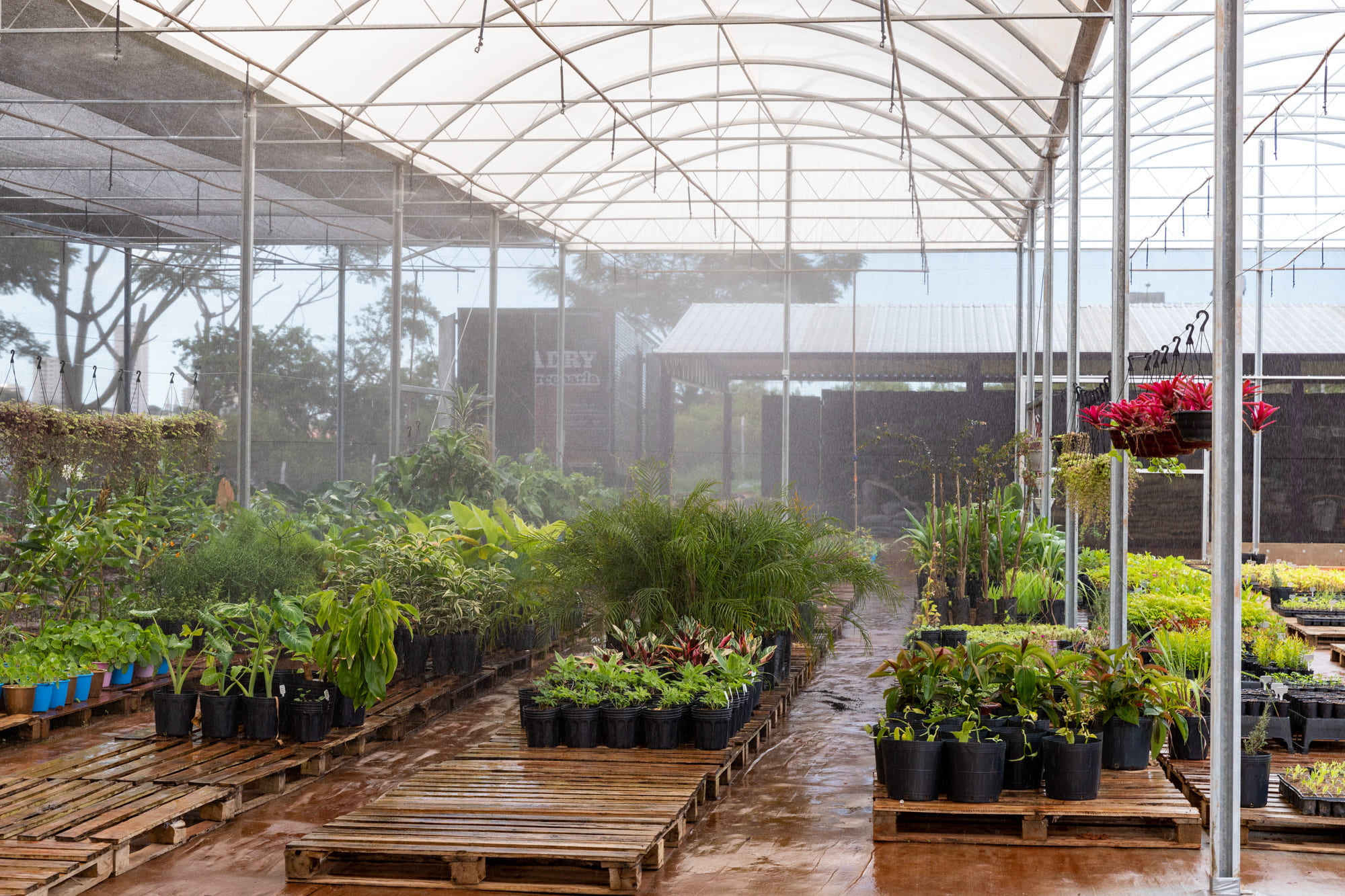 Você sabia: existe uma agrofloresta com produção de orgânicos no Centro de Botucatu